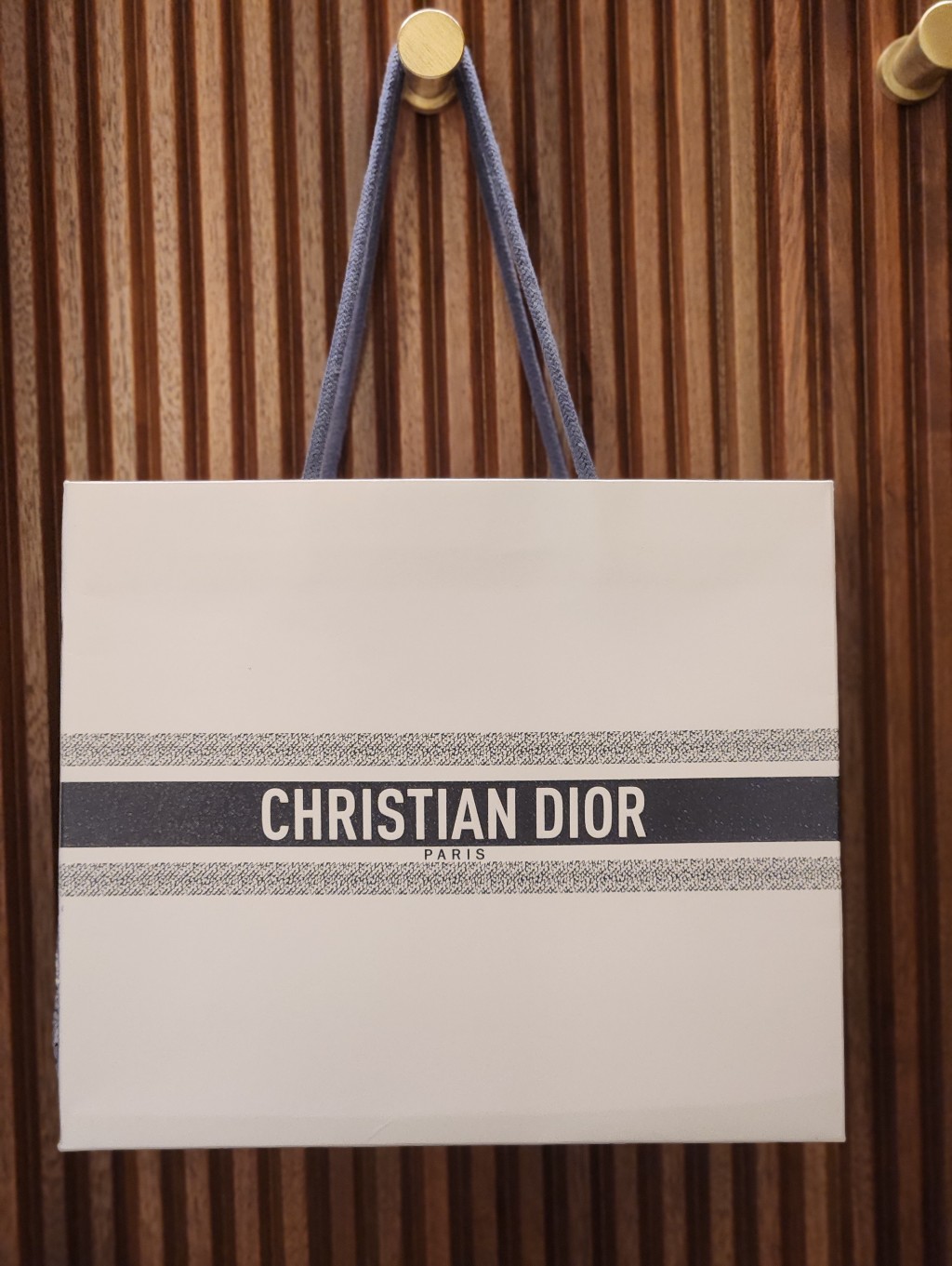 Authentic Christian Dior Luxury Paper Gift Bag